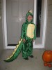 Dragon tales