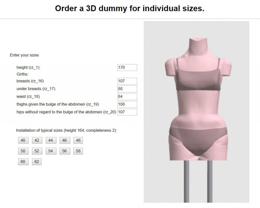 Leora Body Measurement Input