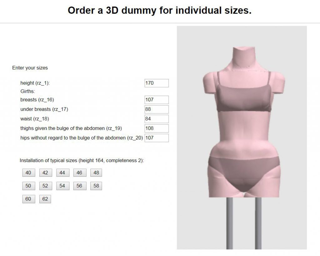 Leora Body   Measurement Input